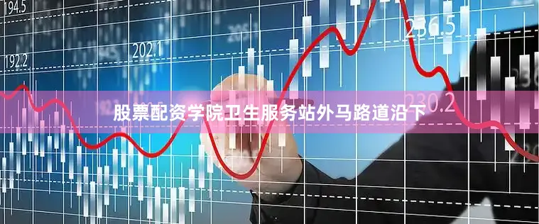 股票配资学院卫生服务站外马路道沿下