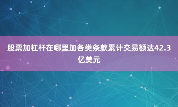股票加杠杆在哪里加各类条款累计交易额达42.3亿美元