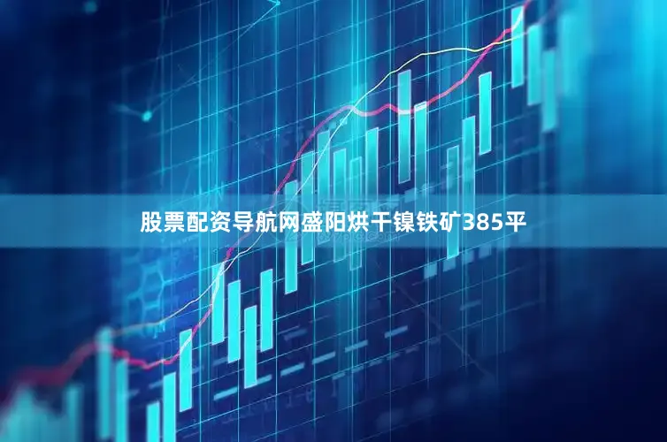 股票配资导航网盛阳烘干镍铁矿385平