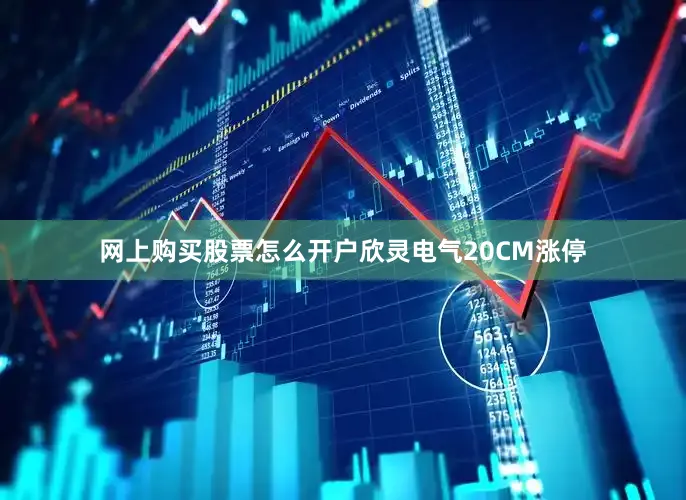 网上购买股票怎么开户欣灵电气20CM涨停