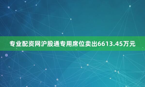 专业配资网沪股通专用席位卖出6613.45万元