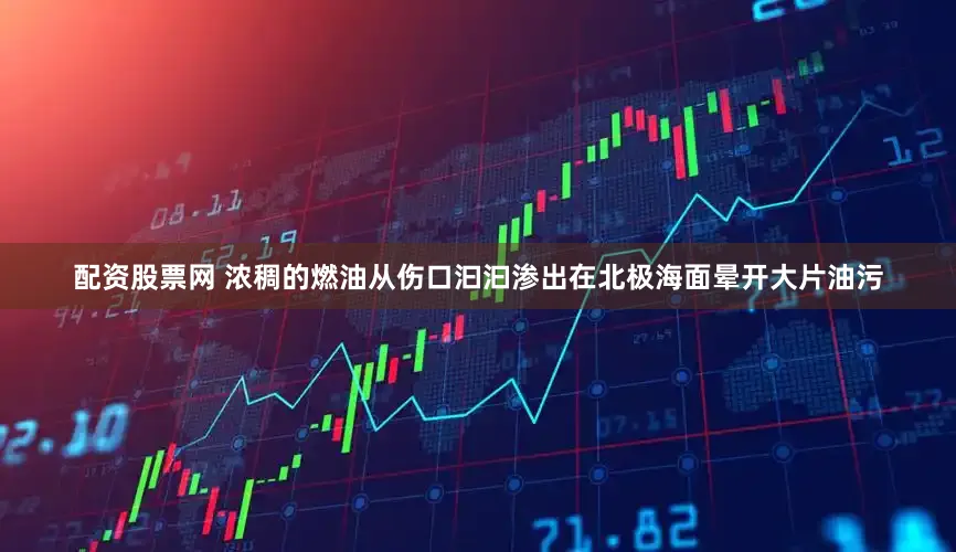 配资股票网 浓稠的燃油从伤口汩汩渗出在北极海面晕开大片油污